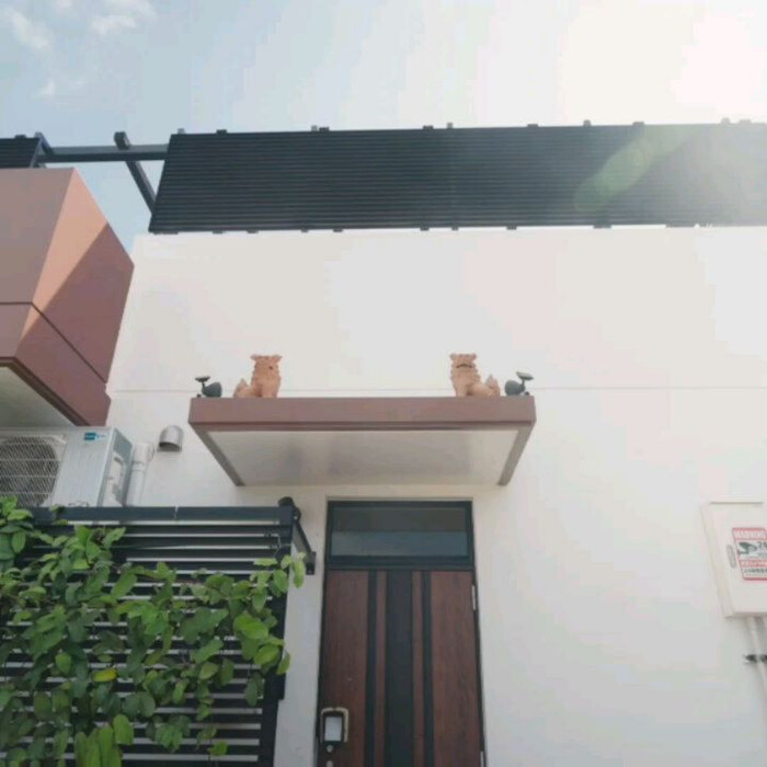 画像247