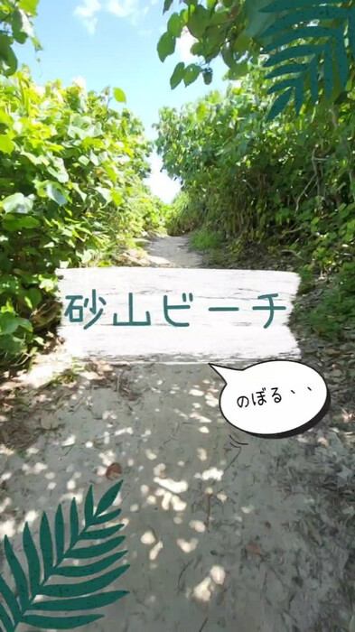 画像270