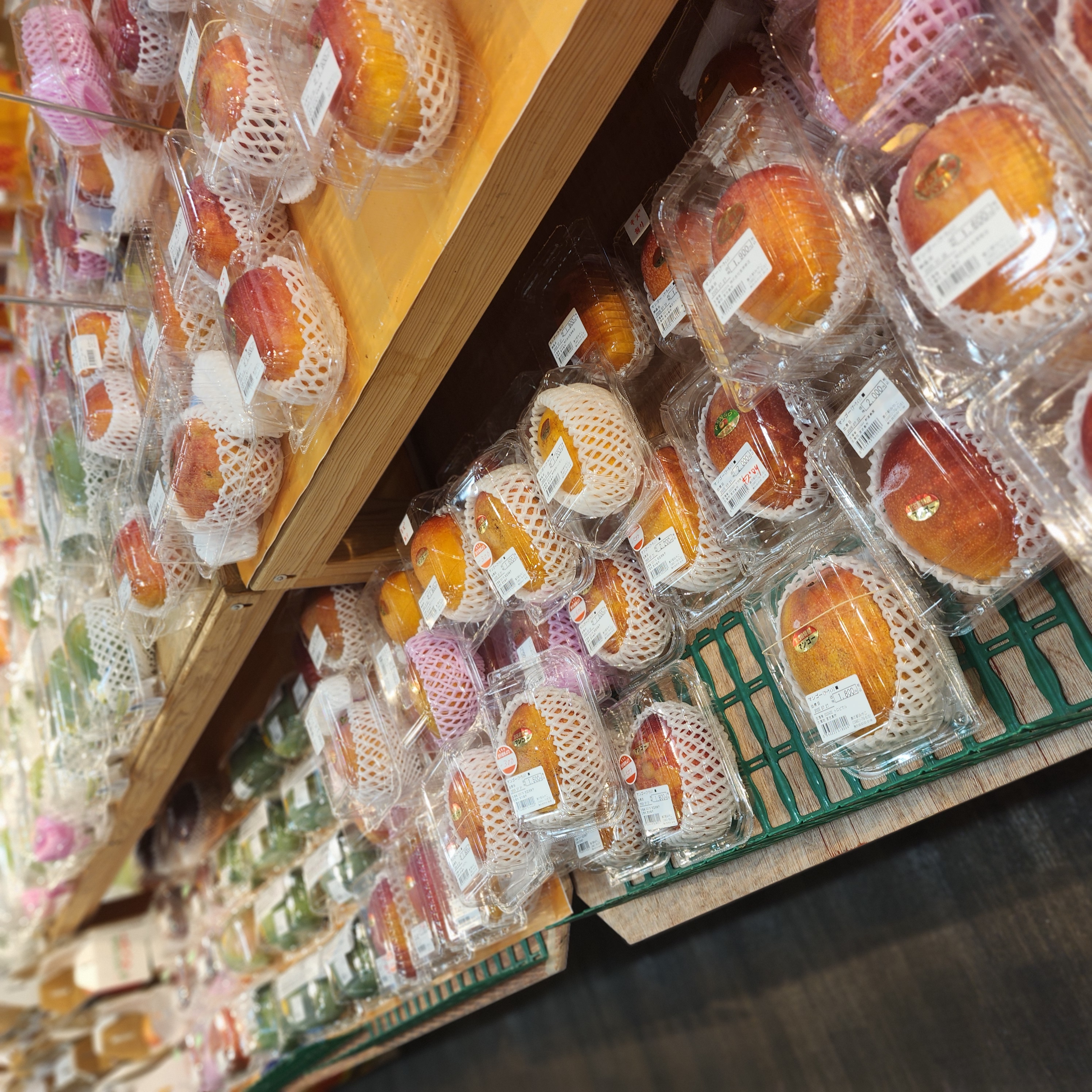 自炊で費用を節約｜地元食材を使った美味しい料理