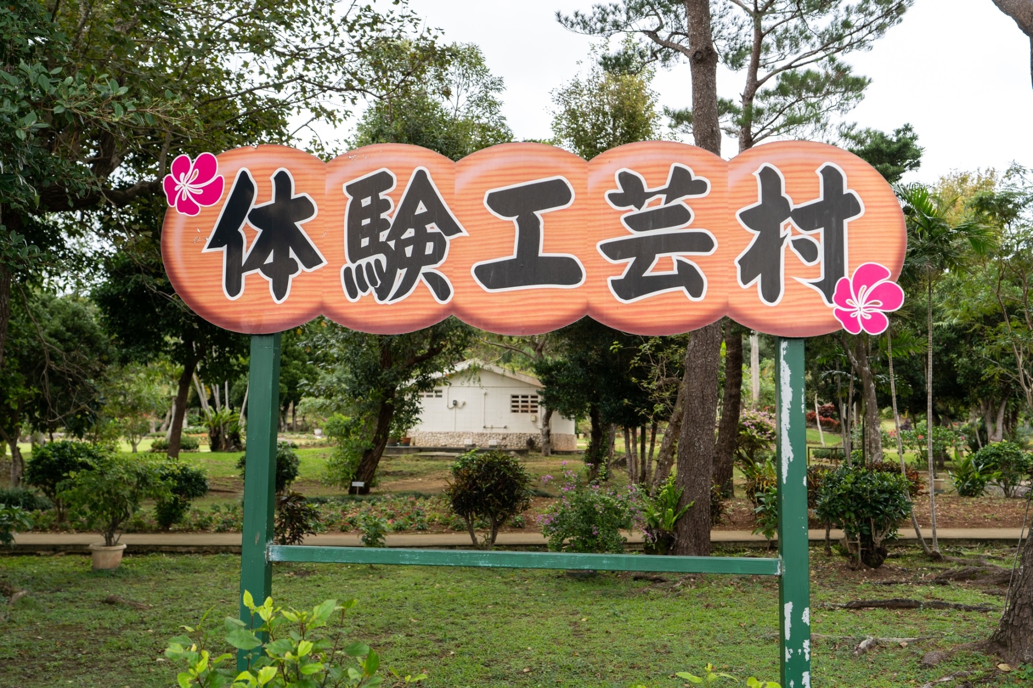 7. 今すぐ予約！